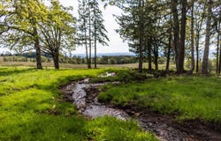 34082 Mt Tom Dr, Harrisburg, OR 97446