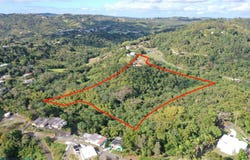 Ceiba, Cidra, PR 00739