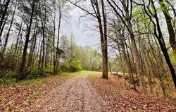 10 Cross St, Abbeville, SC 29620