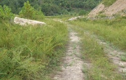 Trace Fork (DB 229, DP 267), Gunlock, KY 41632