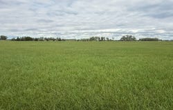80 +/- Acres, Holt County, Inman, NE 68742