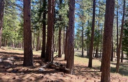 69867 Woodside Drive, Blairsden, CA 96103