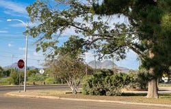 601 E Hendryx, Alpine, TX 79830