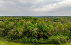 TR 16 Scrabble Rd, Bagdad, KY 40003