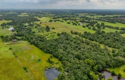 2300 County Road 475, Thrall, TX 76578