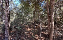 Bear Head Road, Crestview, FL 32539