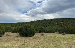 Sunrise Dr, Walsenburg, CO 81089