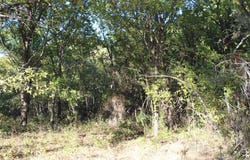 Eureka School Road, Nocona, TX 76255