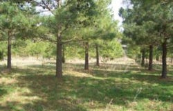 BELLEVUE CIR lot: 0, ACCOMAC, VA 23301