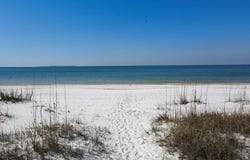 Gulf St lot: 6, Port St. Joe, FL 32456