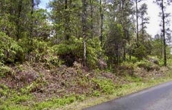 ROAD 8 (MOHO), Mountain View, HI 96760