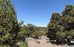 Pima Drive, Quemado, NM 87829