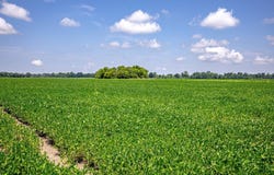 0 Straight Bayou Rd, Anguilla, MS 38721