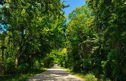 1264 RedMoore Road, Whitewright, TX 75491