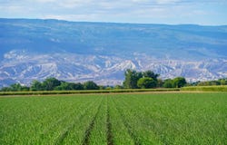 Banner Road, Delta, CO 81416
