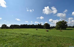 28.6 Old Quick Road, Fayetteville, TN 37334