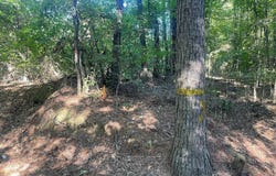 N County Line Rd, Maben, MS 39750