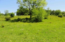 967 E Hwy 333, Saint Joe, AR 72675