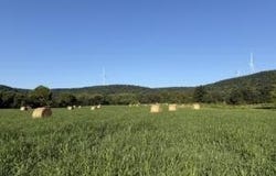 Tbd County Road 906, Green Forest, AR 72638
