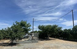 Highway 65 Citrus Ranch, Ducor, CA 93218