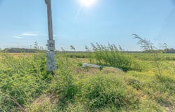 CR 244, Wynne, AR 72396