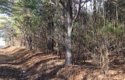 Lambert Road, Graham, NC 27253
