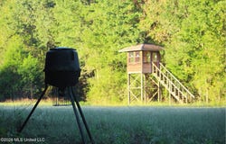 2788 Highway 16, Carthage, MS 39051