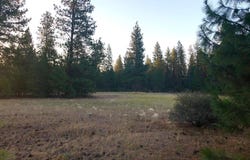 Black Ranch Road, Burney, CA 96013