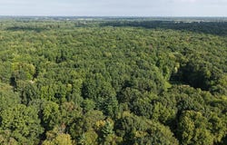 V/L 4.26A Madsen Road, Birch Run, MI 48415
