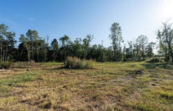 403 HOWARDSVILLE TPKE, STUARTS DRAFT, VA 24477