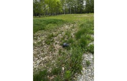 Leavitt Lane, Palmyra, ME 04965