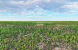 County Road V, Walsh, CO 81090