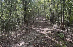 Chapel HIll Rd, GRENADA, MS 38929