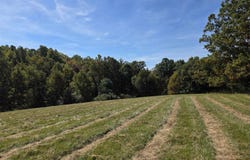 Ridge Road, Check, VA 24072