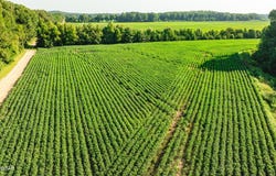 Riddick Road, Friendship, TN 38034