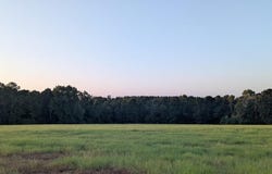 Parcel # 215499 FM 343W, Cushing, TX 75670