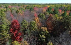 Timber Trail, Prescott, MI 48756