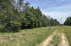 S Broadway Street, Idlewild, MI 49642