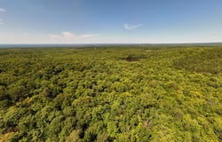 Cox Road, Brandon, NY 12966