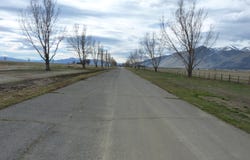 100 Oreana Peak Road, Smith Valley, NV 89444