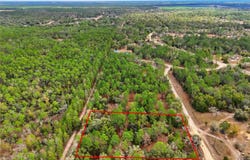 NE 111TH Lane, BRONSON, FL 32621