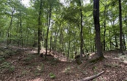 Greenfields Way N lot: 12, Dunlap, TN 37327