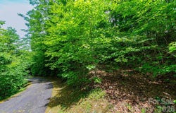 46 Widgeon Way, Whittier, NC 28789
