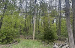 Us Rt 611 2, Swiftwater, PA 18370