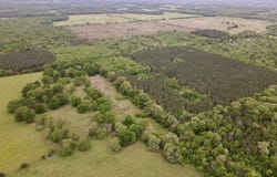 Dardanelle, AR 72834