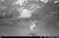 Hwy 159, Forest City, MO 64451