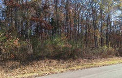 27 Sumner Drive, Scottsboro, AL 35769