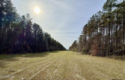 Ratliff Ferry Road, Canton, MS 39046