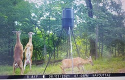 80 N4130 rd., Antlers, OK 74523