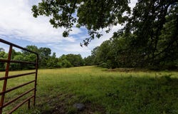 S 220th Road, Halfway, MO 65663